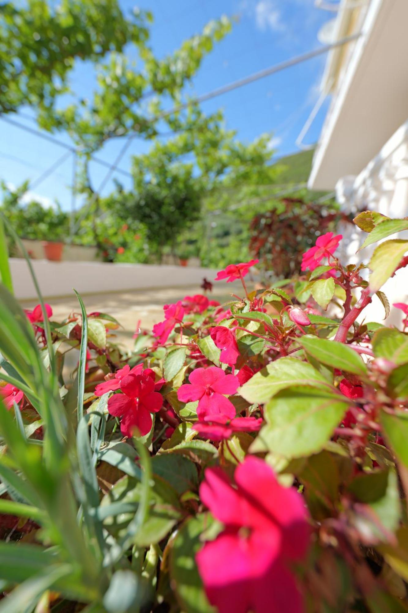 Arthur'S 4Apartments Borş Dış mekan fotoğraf