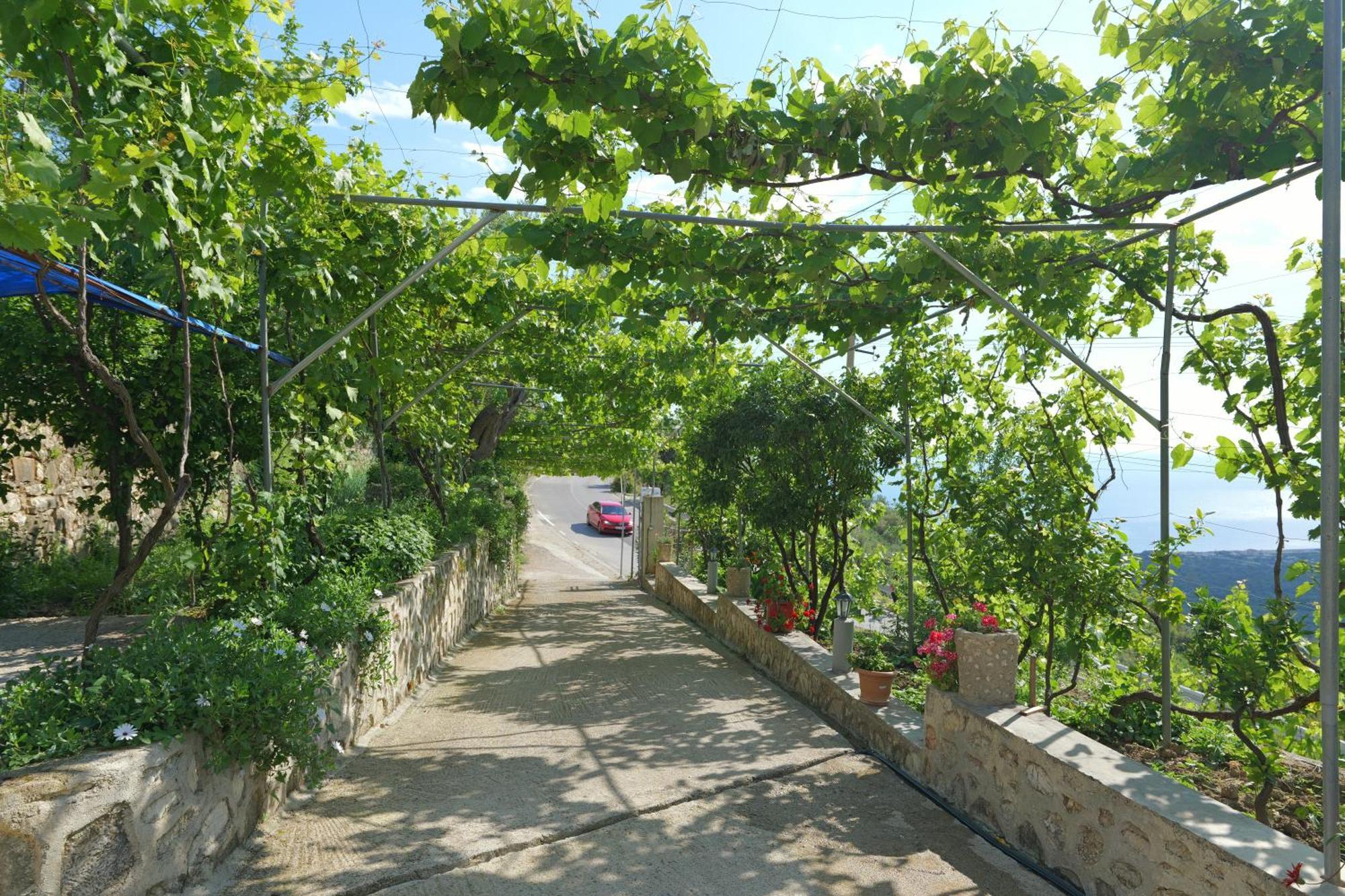 Arthur'S 4Apartments Borş Dış mekan fotoğraf