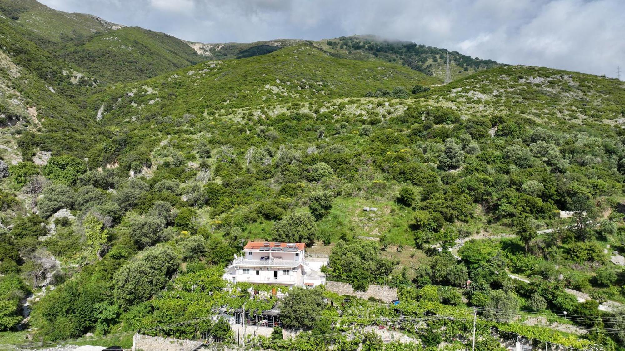 Arthur'S 4Apartments Borş Dış mekan fotoğraf